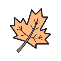maple leaf